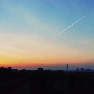 日本熟妇毛茸茸丰满
