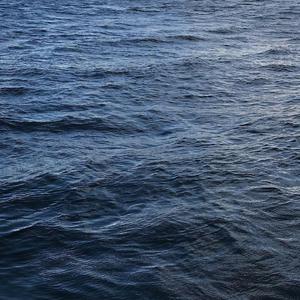 日本熟妇毛茸茸丰满
