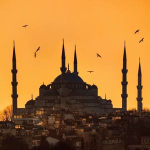 日本熟妇毛茸茸丰满
